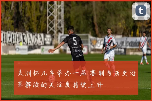 美洲杯几年举办一届 赛制与历史沿革解读的关注度持续上升