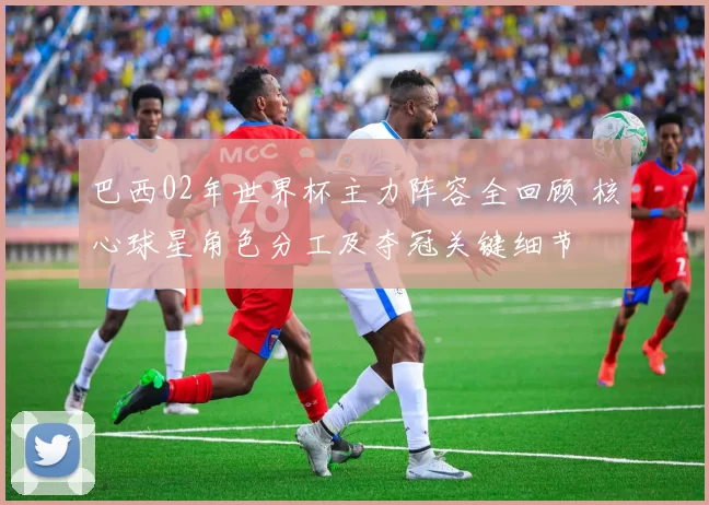 巴西02年世界杯主力阵容全回顾 核心球星角色分工及夺冠关键细节
