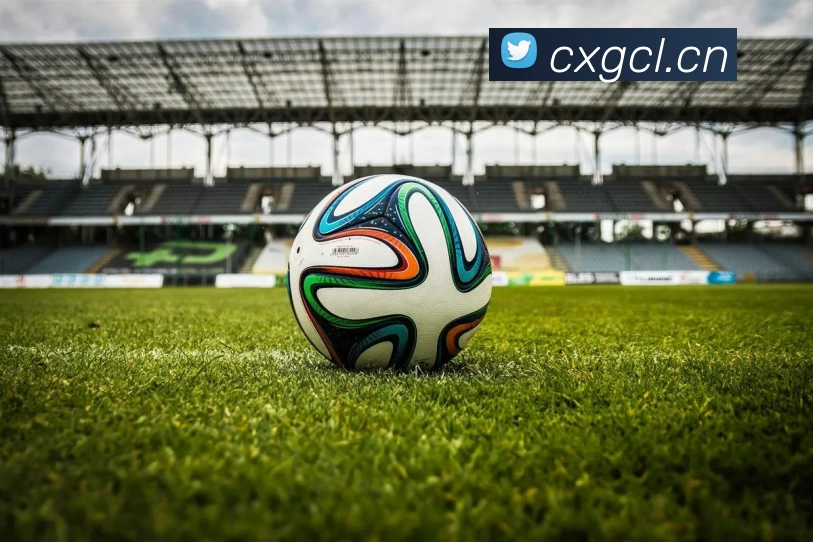 半岛综合官网发展历程